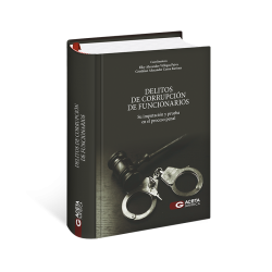 Portada de libro Delitos de Corrupción de Funcionarios · Su Imputación y Prueba en el Proceso Penal