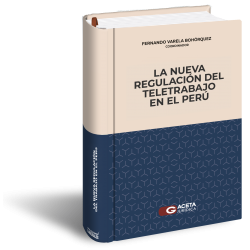LA NUEVA REGULARIZACIÓN DEL...