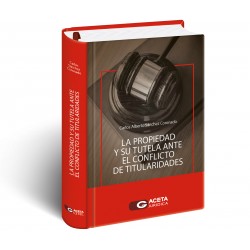 LA PROPIEDAD Y SU TUTELA...
