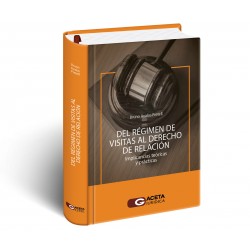 DEL RÉGIMEN DE VISITAS AL...